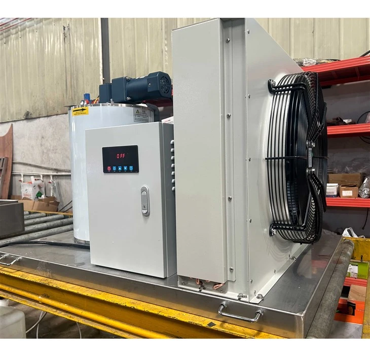 0.3T Flake Ice Machine factory